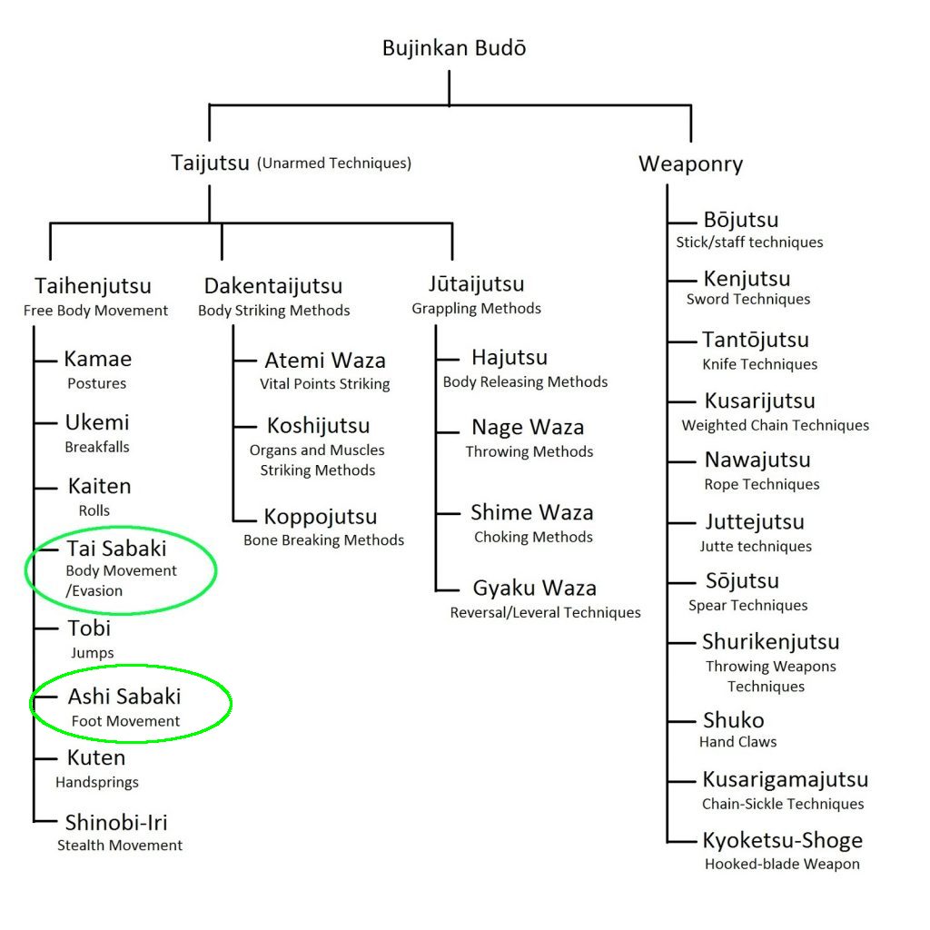 Ninjutsu Elements Tai Sabaki (body movement)